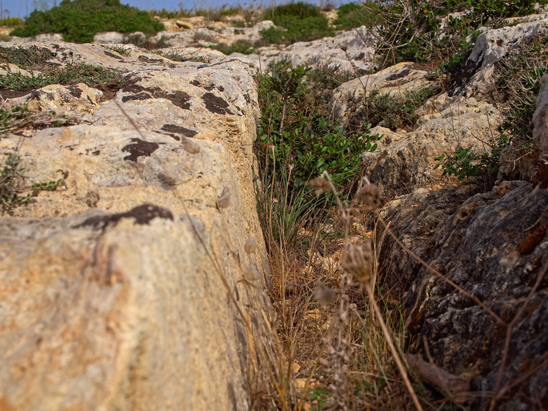 Clapham Junction, Cart Ruts
        (Prehistoric)